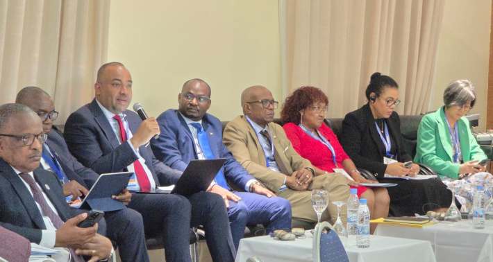 Seychelles participates in African SIDS Solutions and Investment Forum