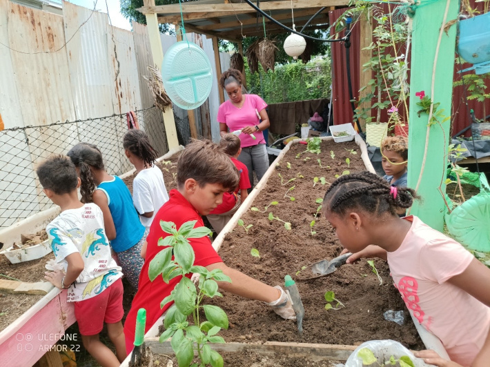 CAPF supporting the Little Explorers Club Bel Ombre under the Grow Your Own Food Movement (Green Harvest)