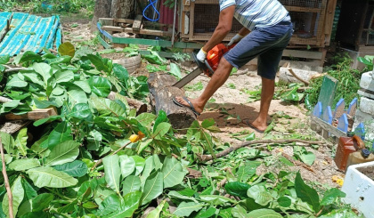 Volunteer day boosts environmental efforts at Grand Anse Praslin primary