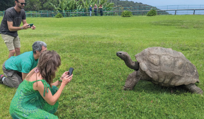 Johny boy, world's oldest known tortoise still very much alive despite death rumour   