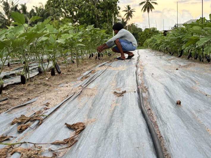 Sitiasyon vol lo bann laferm i tre alarman