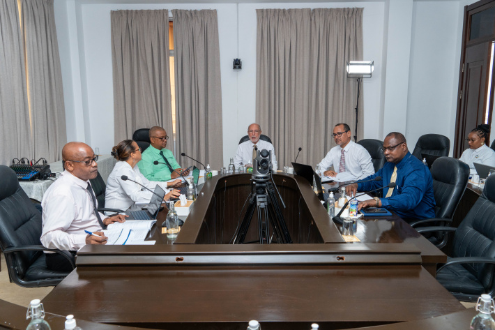 FPAC hearings probe revenue gaps, tax controls, and project delays