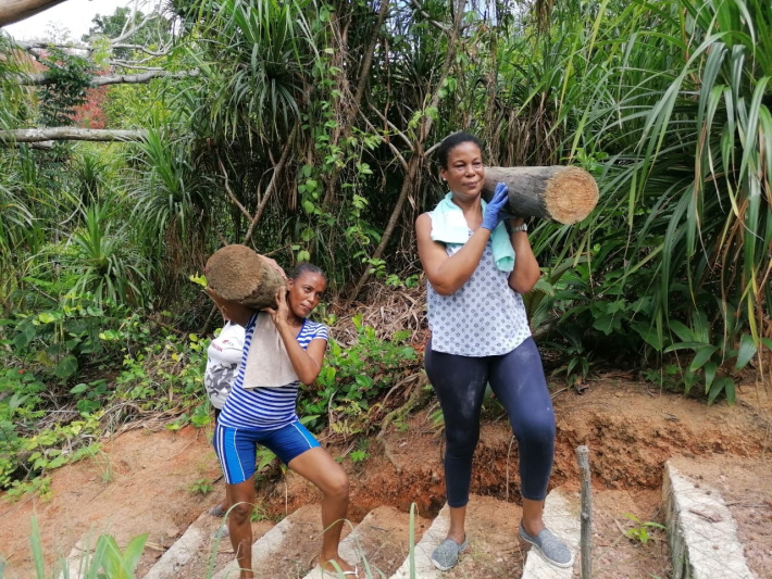 TRASS calls for volunteers to help in forest restoration efforts   