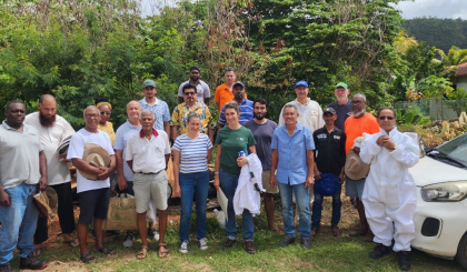 International Bee Day 2026: Protecting Seychelles’ precious pollinators