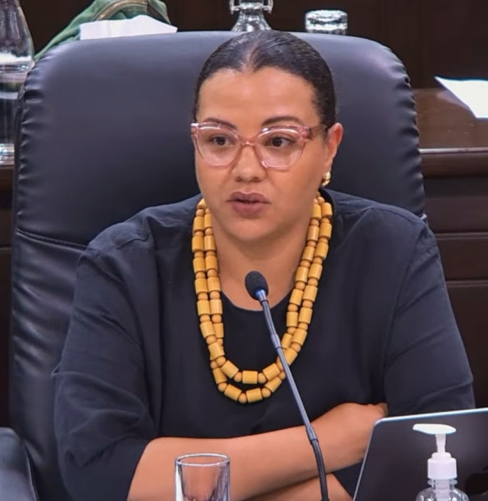Une nouvelle ère pour la culture seychelloise : décryptage du Bill No. 7 of 2026