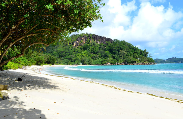 From Forbes praise to Instagram debate: What the seaweed discussion says about Seychelles’ eco-tourism identity