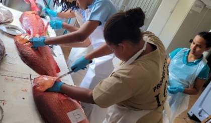 Protecting tomorrow’s catch: How science is guiding sustainable fisheries in Seychelles