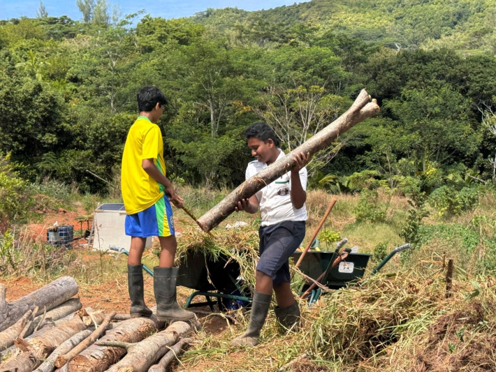 Anse Royale secondary students explore Hugelkultur