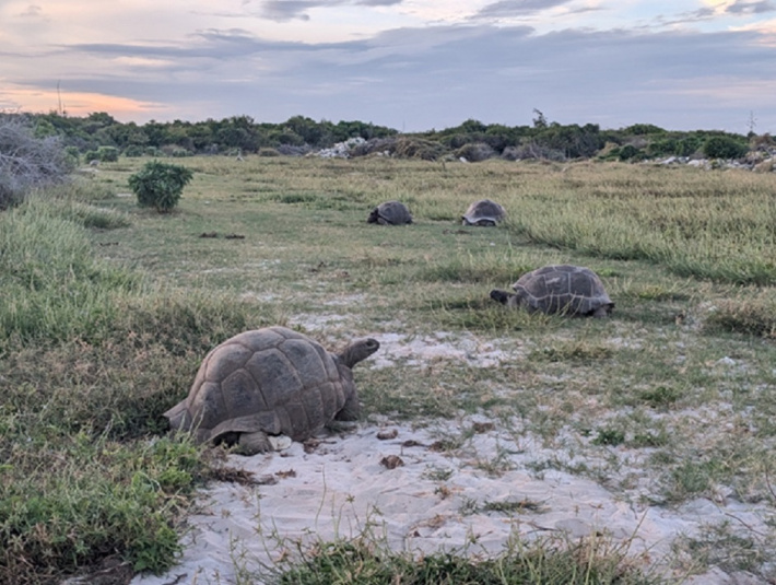 Taking stock of nature:  Assomption’s biodiversity baseline assessment