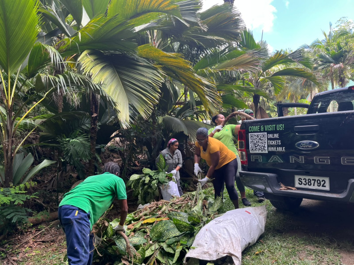 Community partners unite to protect Vallée de Mai on World Nature Conservation Day