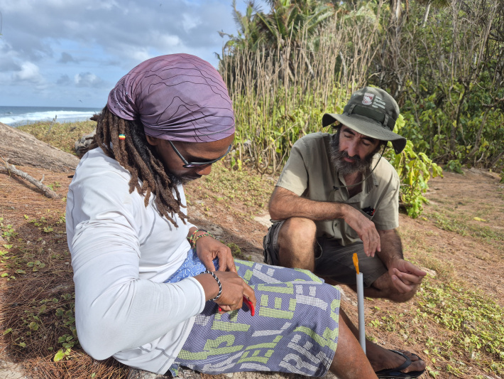 New study tracks white-tailed tropicbirds from Aride island