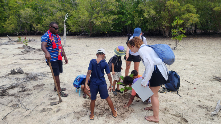 Celebrating Seychelles’ mangroves: Nature's coastal guardians