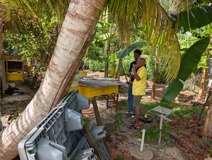 International research strengthens future of Seychelles honey