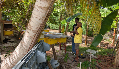 International research strengthens future of Seychelles honey