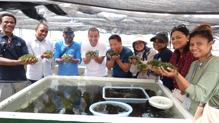 Fisheries technician gains valuable experience in Japan and Solomon Islands