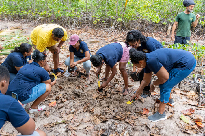 Parliamentary staff support mangrove conservation