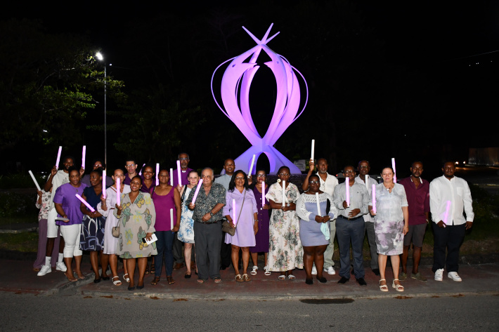 Purple landmarks honour  26 lives lost to overdose