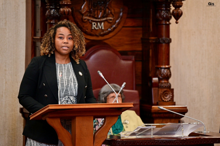 Speaker leads Assembly delegation on benchmarking visit to Mauritius