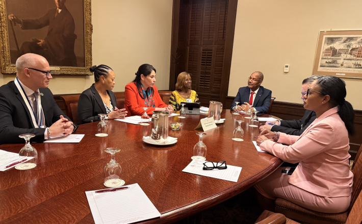 President Herminie meets African Union Commission deputy chair