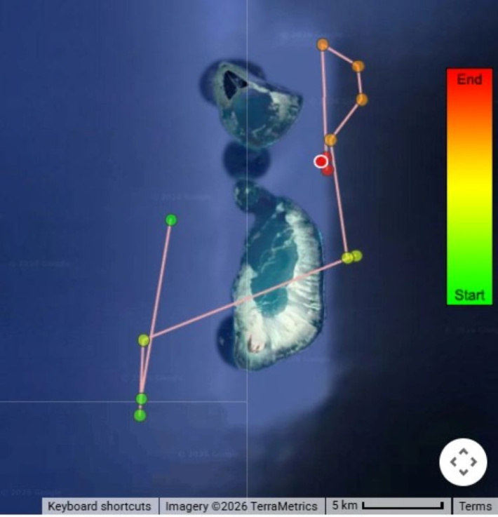 Tracking ocean giants: Research unlocks secrets of pelagic sharks