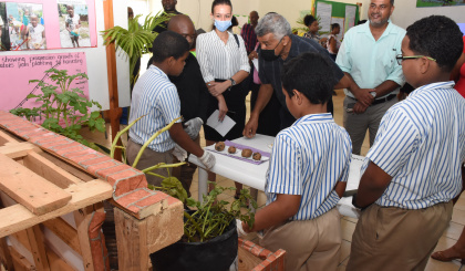 Lights