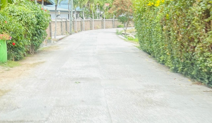 Lights