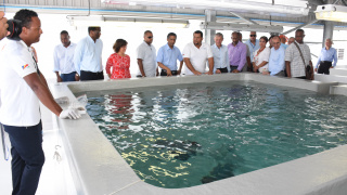 Development of Aquaculture - Development of aquaculture sector gets big boost